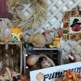 Panek's Pickin' Patch photo
