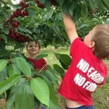 Panek's Pickin' Patch photo