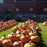 Panek's Pickin' Patch photo