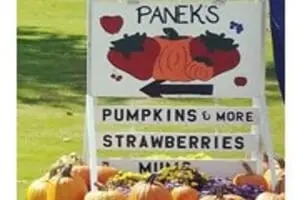 Panek's Pickin' Patch