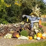 Johnson's Pumpkin Stand & Corn Maze photo