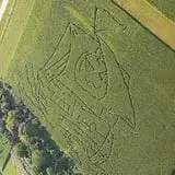 Johnson's Pumpkin Stand & Corn Maze photo