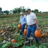 Johnson's Pumpkin Stand & Corn Maze photo
