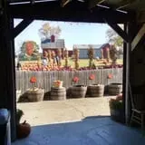 Johnson's Pumpkin Stand & Corn Maze photo
