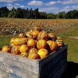 Barthel Fruit Farm photo