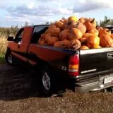 Barthel Fruit Farm photo
