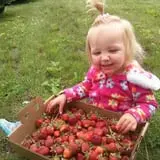 Barthel Fruit Farm photo
