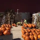 Barthel Fruit Farm photo