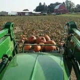 Barthel Fruit Farm photo