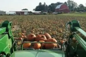 Barthel Fruit Farm