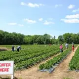 Battleview Orchards photo