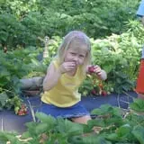 Battleview Orchards photo