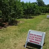 Battleview Orchards photo