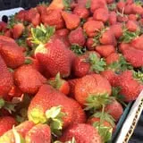 Battleview Orchards photo