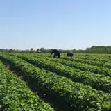 Battleview Orchards photo