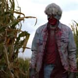 Fright in the Field photo