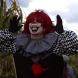 Fright in the Field