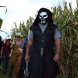 Fright in the Field