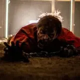 Scream Acres