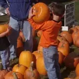 Erie Orchards & Cider Mills photo