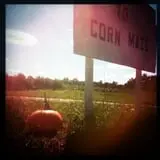 Erie Orchards & Cider Mills photo