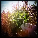 Erie Orchards & Cider Mills photo