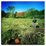 Erie Orchards & Cider Mills photo