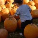 Erie Orchards & Cider Mills photo