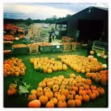 Erie Orchards & Cider Mills photo