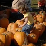 Erie Orchards & Cider Mills photo