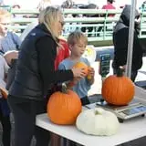 McLeod Farms photo