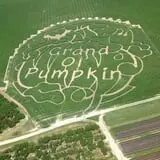 McLeod Farms photo