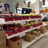 McLeod Farms photo