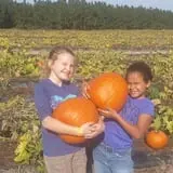 McLeod Farms photo