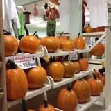 McLeod Farms photo