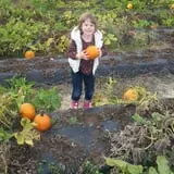 McLeod Farms photo