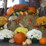 McLeod Farms photo