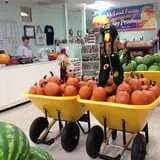 McLeod Farms photo