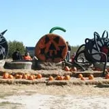 McLeod Farms photo