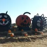 McLeod Farms photo