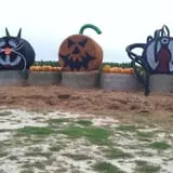 McLeod Farms photo