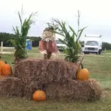 McLeod Farms photo