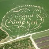 McLeod Farms photo