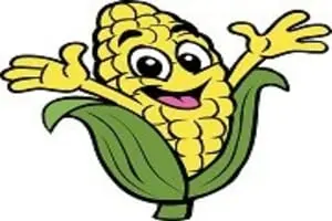 Sauchuk Farm Corn Maze & Pumpkin Patch