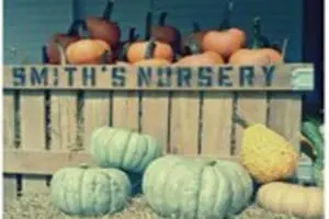 Smith's Nursery