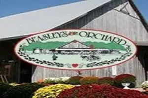 Beasley's Orchard Corn Maze and Pumpkin Patch
