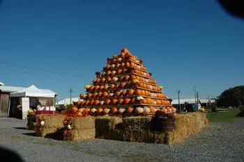 It’s All about Pumpkins at the 12th Annual South Jersey Pumpkin Show!