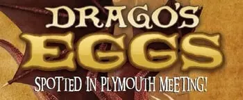 5 Wits in Plymouth Meeting Mall Reports Missing Dragon