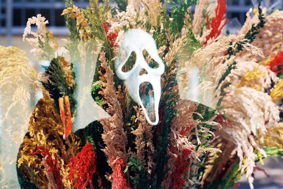 After the release of 'Scream', the mask now known as 'The Scream Mask' has become a Halloween icon that you're sure to see at least ONE of each year.