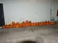 Local Police Urge Residents to Review Their 'Pumpkin Line Up' If Their Decorative Gourds Were Stolen After Finding Teens with Almost 50 Stolen Pumpkins Halloween Night